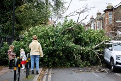 At least 5 killed as Storm Bert lashes Britain, causing flood, travel chaos