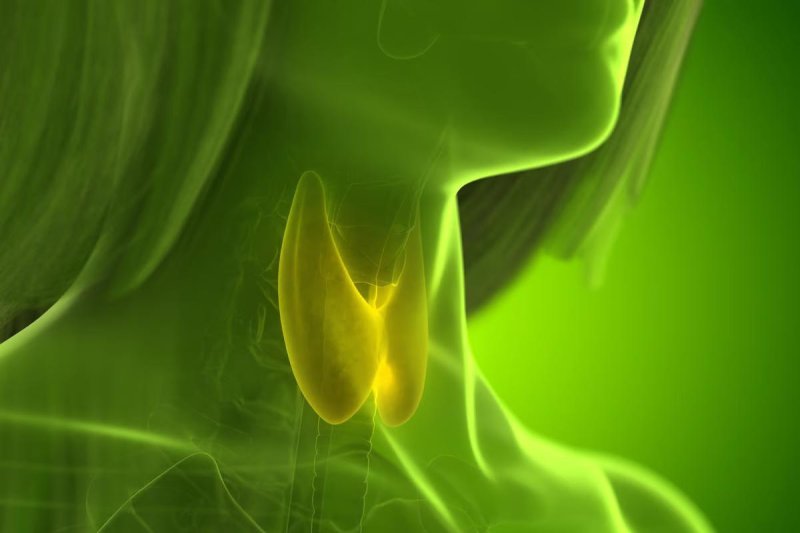 New research suggests that a thyroid medication often prescribed to older Americans may be linked to a common problem in old age -- bone loss. Photo by Adobe Stock/HealthDay News