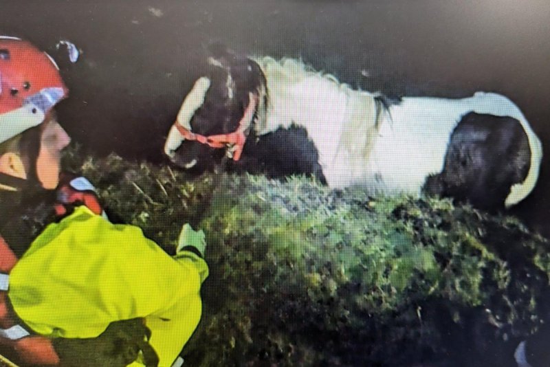 Firefighters in England came to the rescue of a horse stranded in the cold waters of the Erewash Canal. Photo courtesy of Alfreton Community Fire Station/Facebook