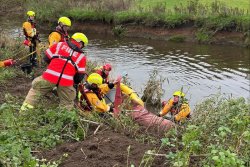 Firefighters rescue horse stuck in river