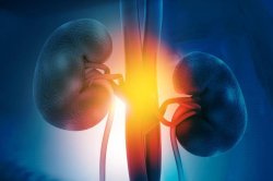 GLP-1 weight-loss drugs might help protect kidneys