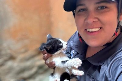 Officer crawls 50 yards through pipe to rescue kitten in Florida