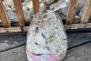 Officials: Don't brine your turkey in the Great Salt Lake