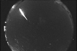 Taurid meteor shower to reach peak visibility