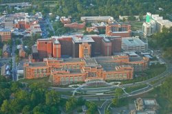 Trump taps COVID-19 lockdown skeptic to lead NIH